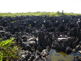 黒い石灰岩で形成されるグランドケイマンヘル